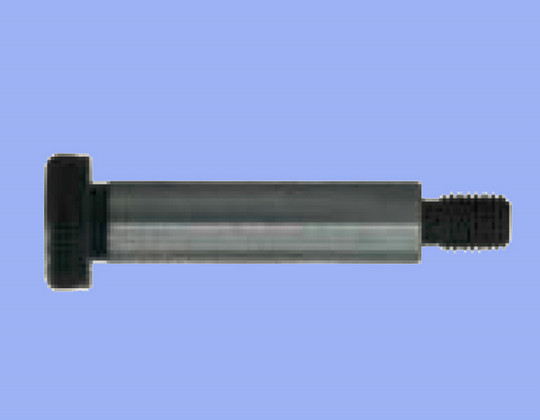 Hex-socket Shoulder Screw